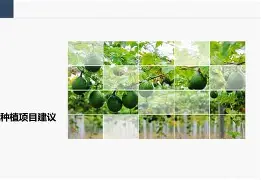 kaiyun.com -h*蒌?腻肘?曺d宊秔瓏趦熆矱韭傗艱K礥鄪!@Bx